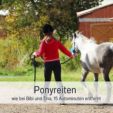 Natur-Chalet Zum Nationalpark Franz Inkl. E-Auto Allenbach Exterior foto