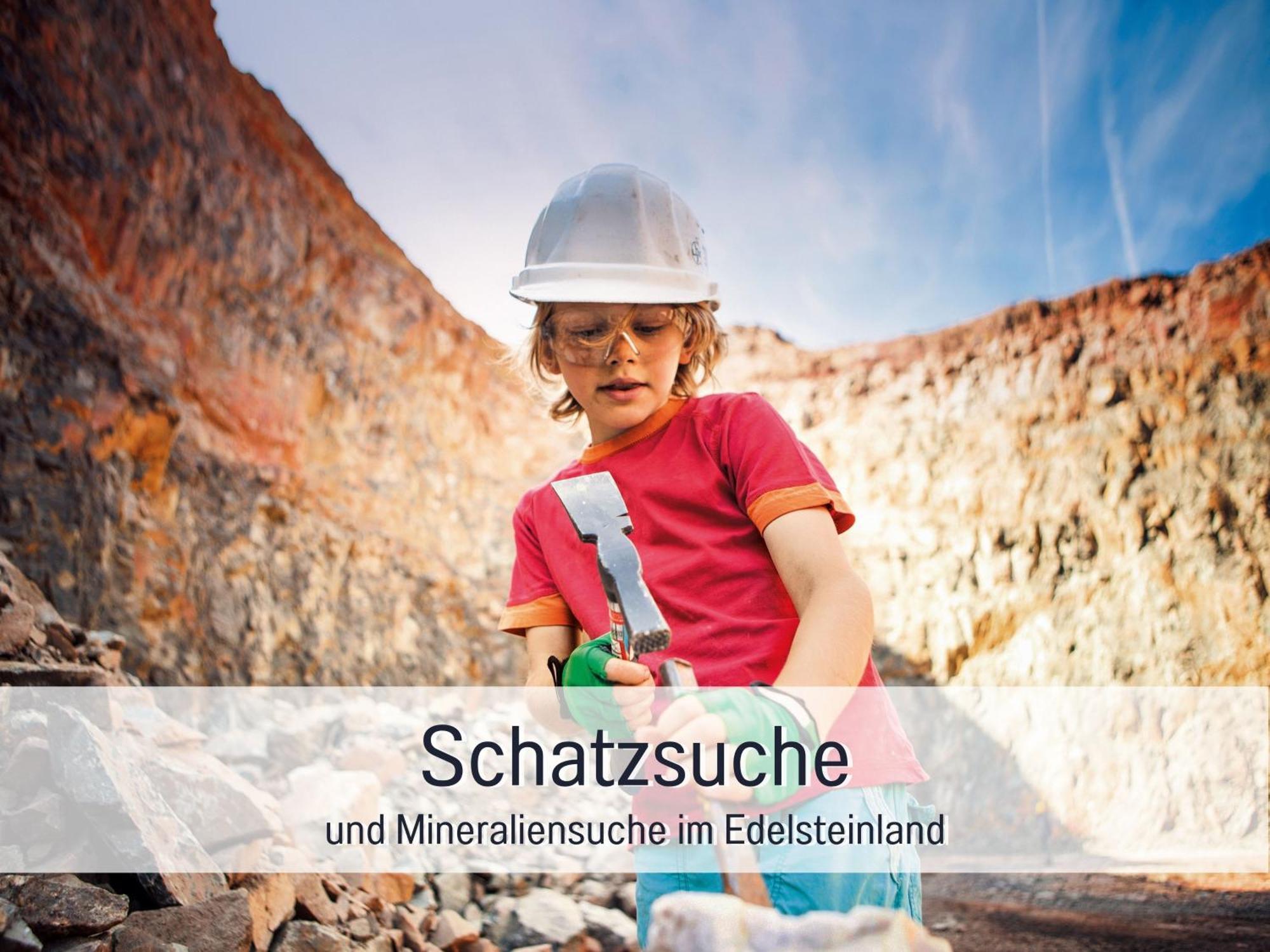 Natur-Chalet Zum Nationalpark Franz Inkl. E-Auto Allenbach Exterior foto