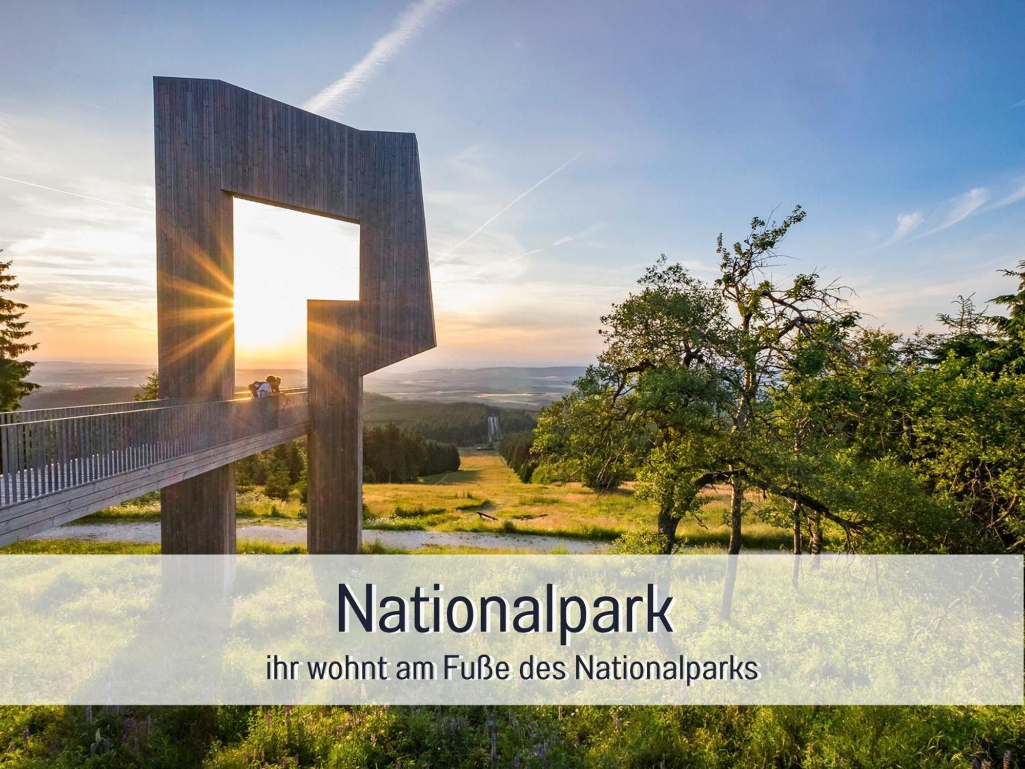 Natur-Chalet Zum Nationalpark Franz Inkl. E-Auto Allenbach Exterior foto